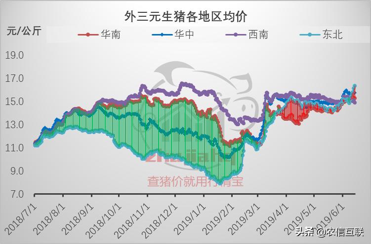 最新海南猪价动态分析