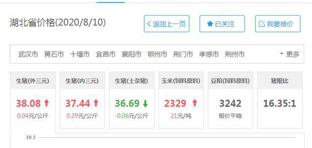 湖北生猪价格最新行情分析