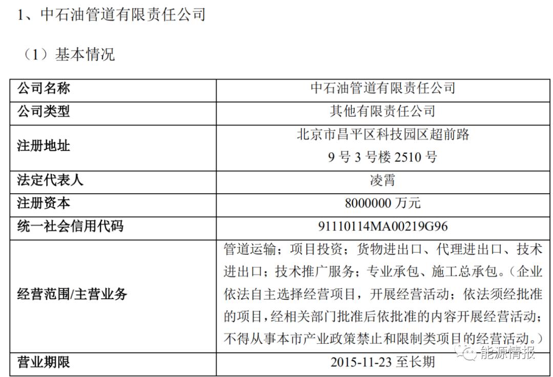 中石油股东最新持股动态，深度解析与前景展望