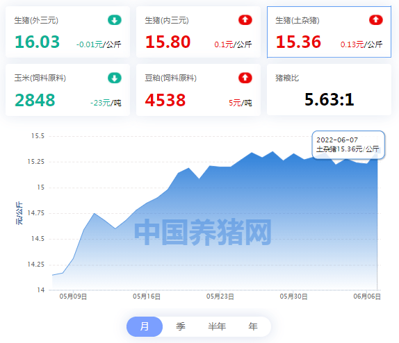 全国猪价最新今日行情分析