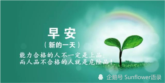 朋友圈最新正能量，积极阳光的力量照亮生活