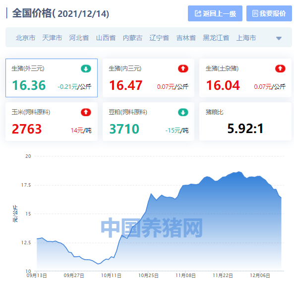 今日猪价最新报价全国