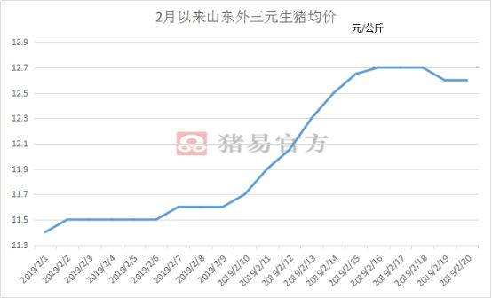 山东省内最新猪价动态分析