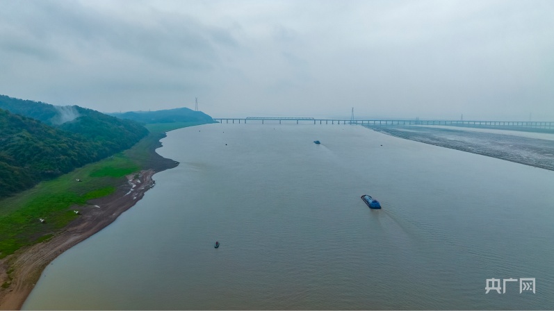 鄱阳湖水位最新消息，动态监测与应对策略